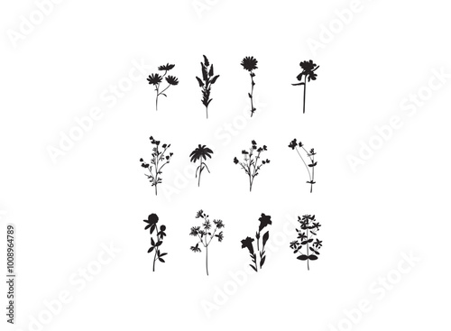 black and white flowers. Botanic set of detailed various flowers. Luxury vintage floral collection for wedding invitation, wallpaper art or save the date card. Botanical vector