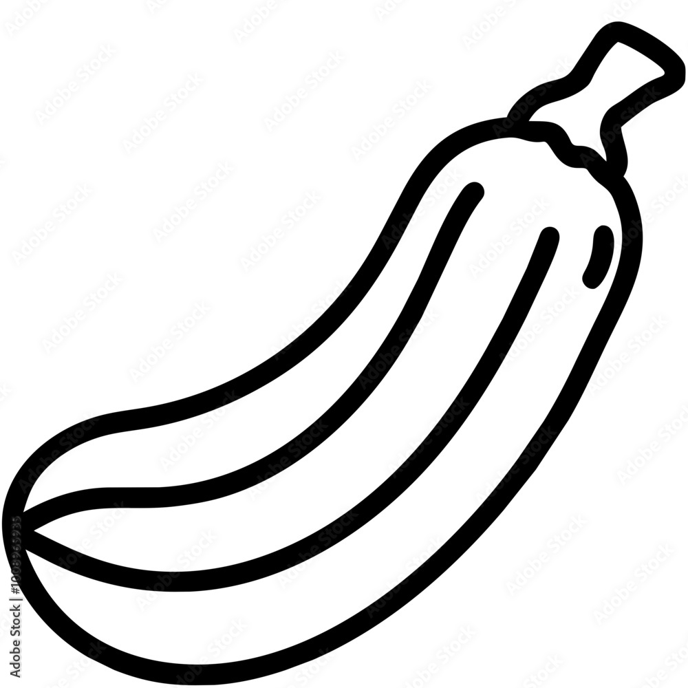 zucchini zucchini