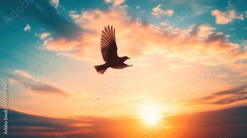 Bird in flight at sunset