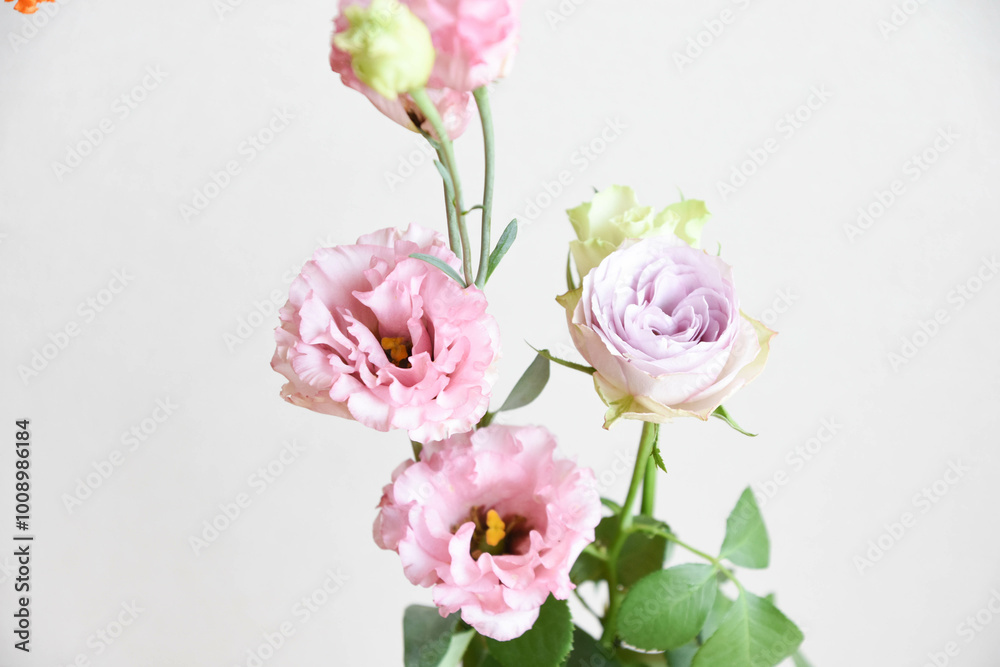 薔薇とトルコ桔梗 薔薇とトルコ桔梗