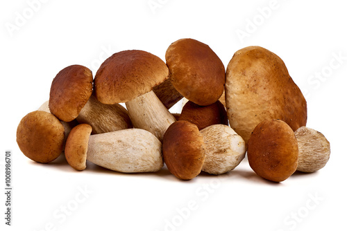 Boletus mushroom, isolated on white background