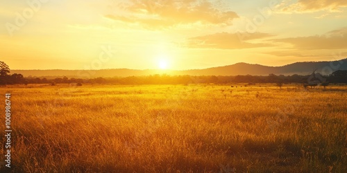 A stunning sunset over a golden landscape, casting warm light across plains and mountains, creating a serene and tranquil atmosphere. photo