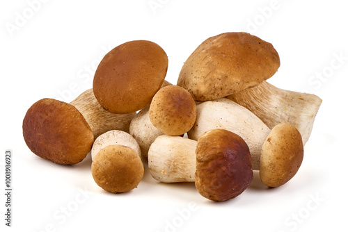 Boletus mushroom, isolated on white background