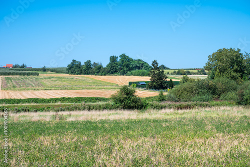 Colorful agriculture fields at the Flemish countryside in Bekkevoort, Flemish Brabant, Belgium photo