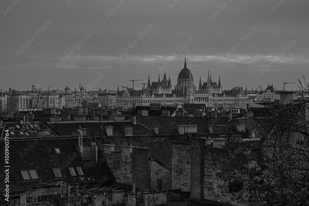 Fototapeta premium view of Budapest
