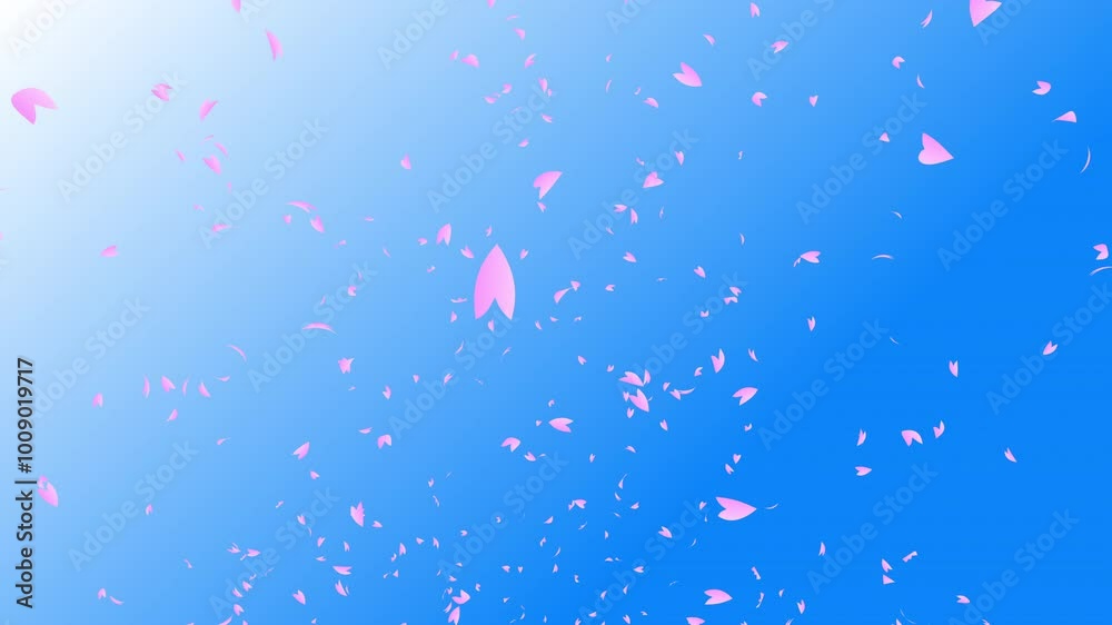 Pink cherry petals falling and flying away from blue sky. Blue background. Abstract background with a scene of Spring time in Japan. Pink cherry petals falling and flying away from blue sky. Blue background. Abstract background with a scene of Spring time in Japan.