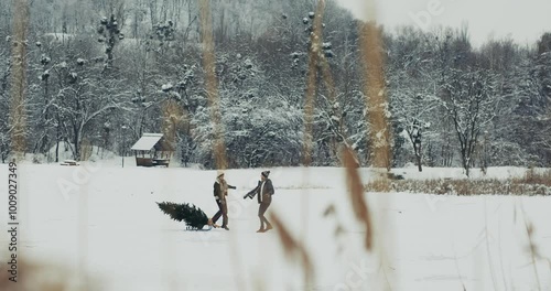 In anticipation of Christmas, a couple in love pulls a Christmas tree on a sled through a snowy park.