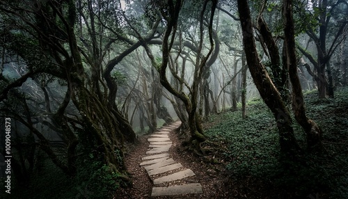 Stone path through misty forest