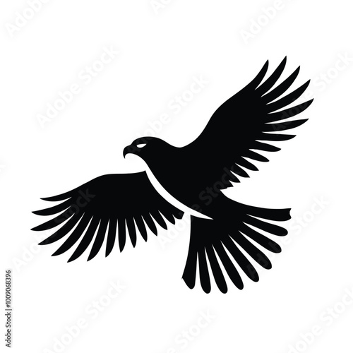 Hawk Silhouette Soaring