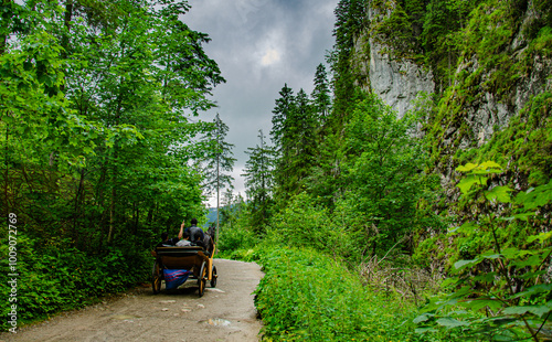 Majestic Polish Tatra Mountains – Nature's Landscape in the Western Tatras