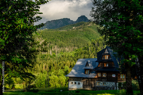 Majestic Polish Tatra Mountains – Nature's Landscape in the Western Tatras photo