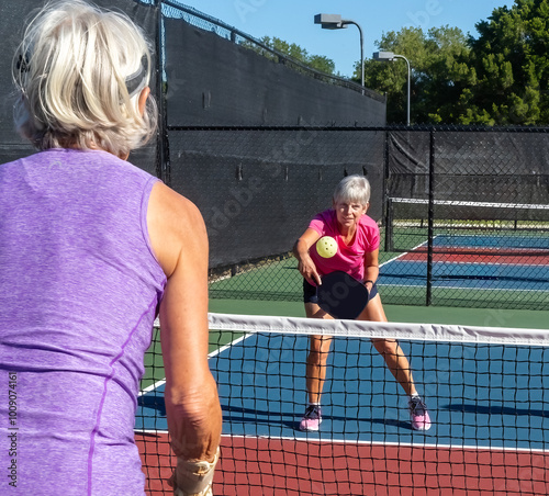 Champion pick;eball player practices his volleys