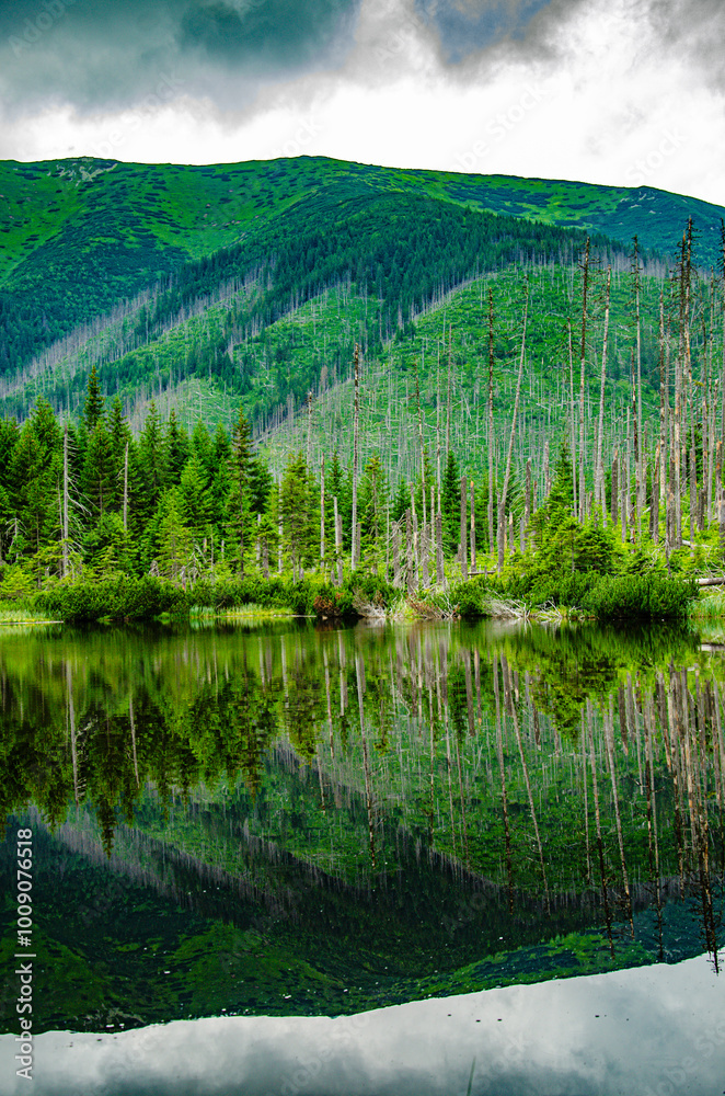 Fototapeta premium Majestic Polish Tatra Mountains – Nature's Landscape in the Western Tatras