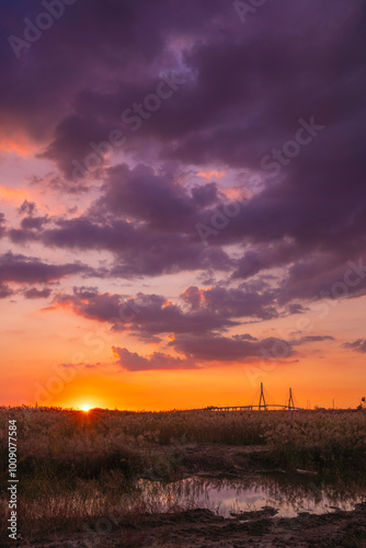 Dramatic Sunset Over the Field with Incheon Bridge