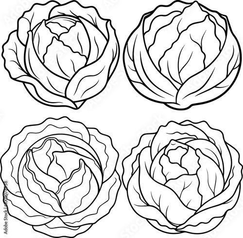 set of cabbage outline coloring book page line art vector illustration