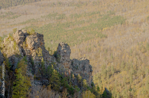 Autumn forest in the mountains