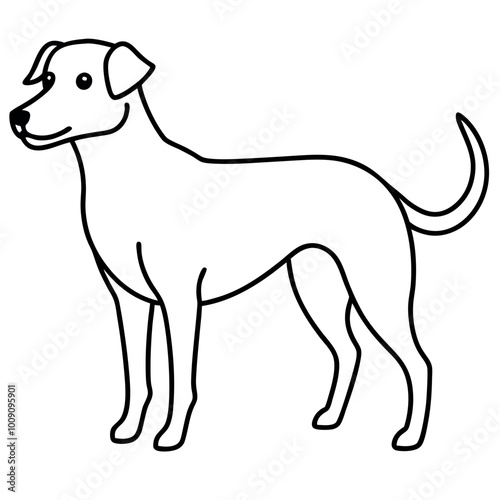  A cute dog vector illustration.