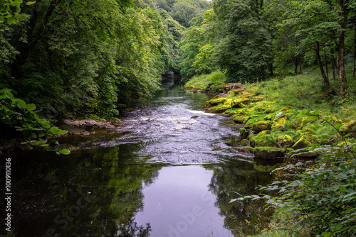 Walking along the river Wharfe in summer in Yorkshire, England