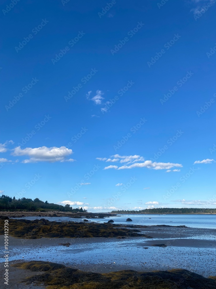 The rocky shoreline at a cove in Down East Maine The rocky shoreline at a cove in Down East Maine