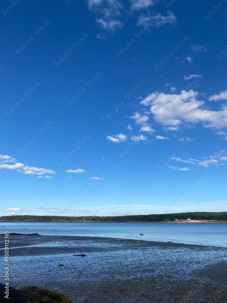 The rocky shoreline at a cove in Down East Maine The rocky shoreline at a cove in Down East Maine