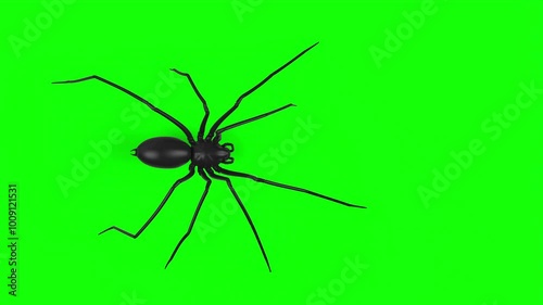 Top down view of scary longlegs spider walk animation loop on green screen VFX element - 60 fps, 4K Pro Res with mask pass