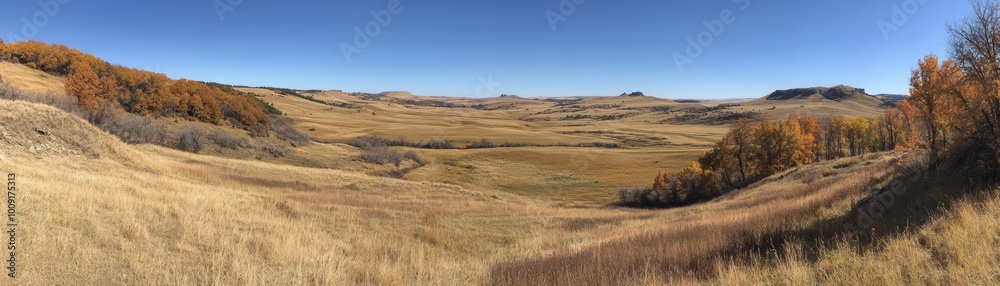 Obraz premium Autumn Grasslands with Distant Hills and Blue Sky