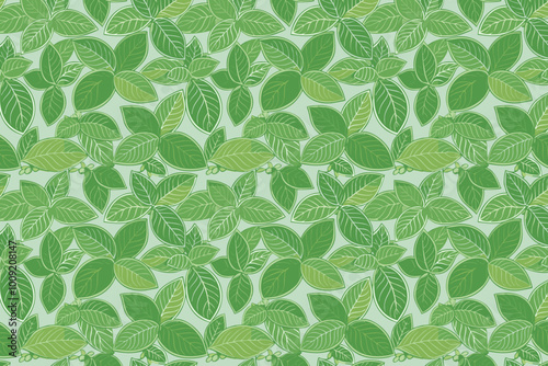 Seamless pattern with green mint leaves on a light green background. Vector illustration.