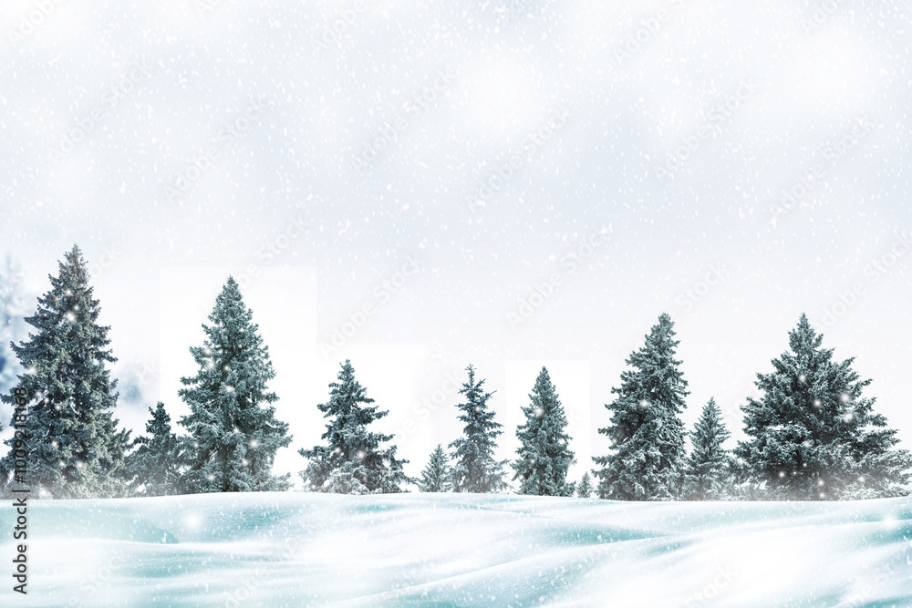 Fototapeta premium Landscape. Frozen winter forest with snow covered trees.