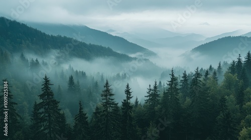 Beautiful Misty Forest Landscape with Mountain Views. Aerial View of the Carpathian Mountains, Printable Wall Art