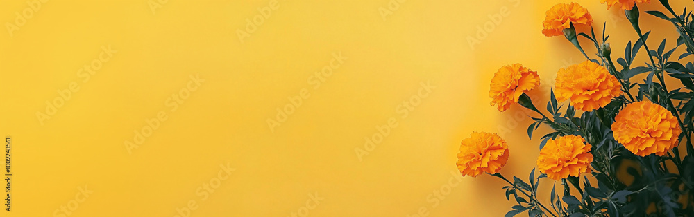 Marigolds on a yellow background.Day of the dead, Mexican holiday celebration. Hindu Puja. Festival Vishu, Ugadi or Gudi Padwa. Traditional Indian banner with copy space