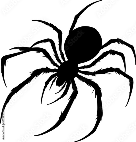 A black sillhoutte of a spider on a white background- silhouette spider