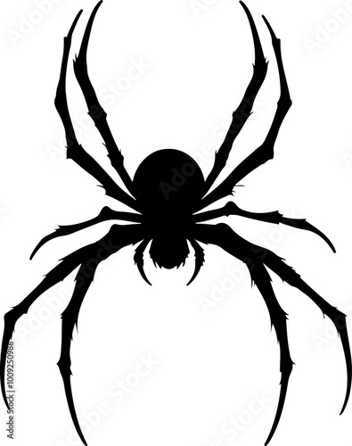 A black sillhoutte of a spider on a white background- silhouette spider