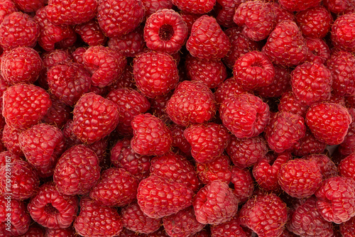 Tasty fresh raspberry as a background.