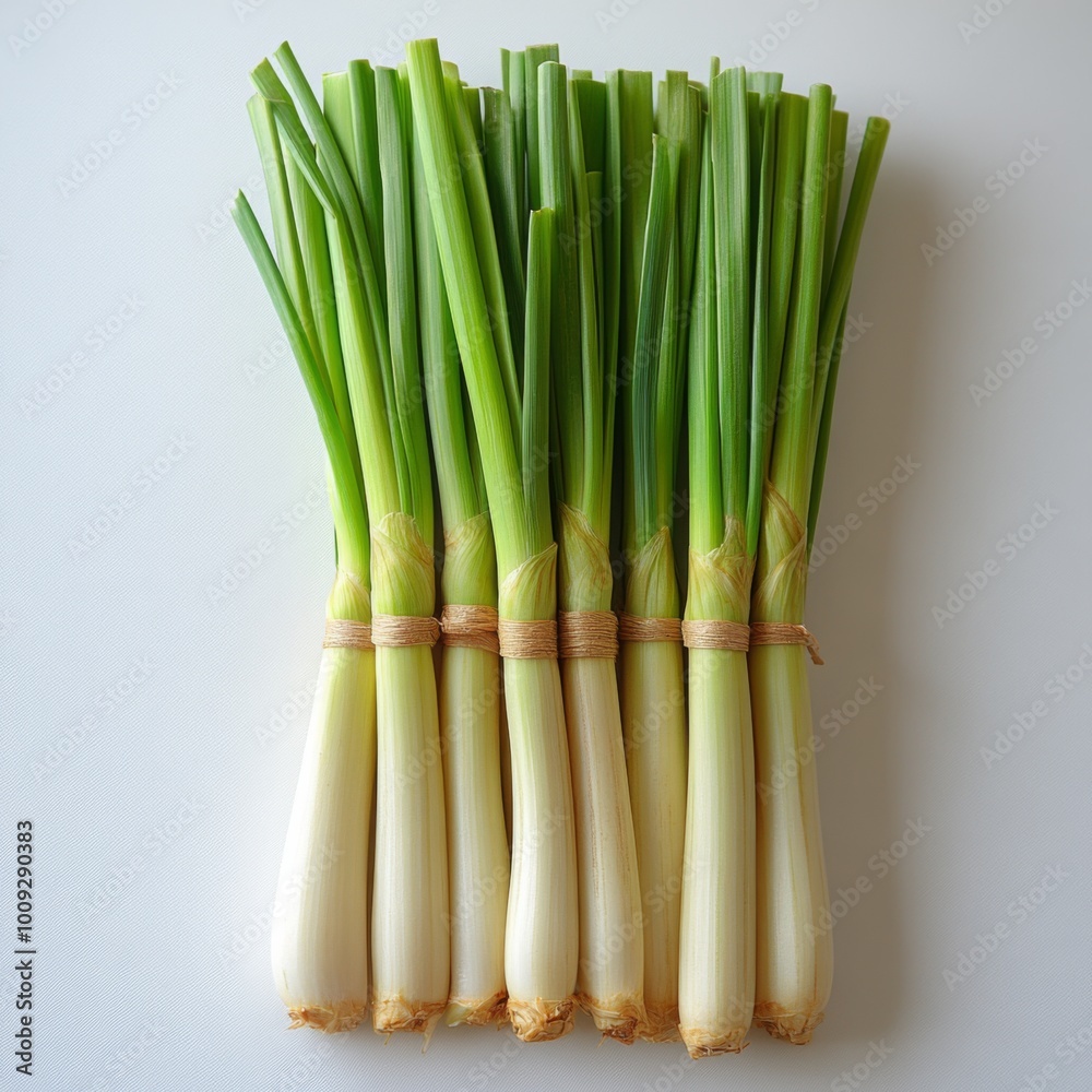 Fototapeta premium Bundle of Fresh Green Onions
