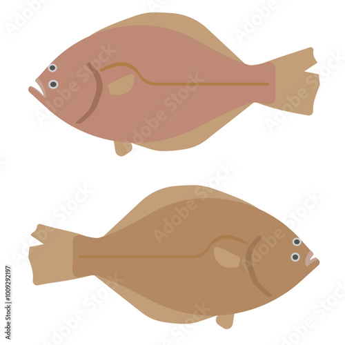 カレイとヒラメのイラスト