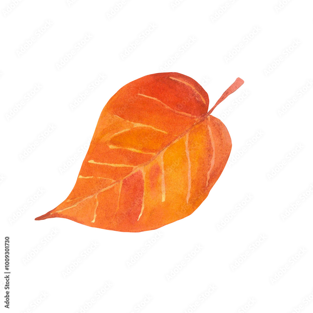Watercolor hand-drawing leaf. Fall leaf. Fall, autumn, thanksgiving, holiday Watercolor hand-drawing leaf. Fall leaf. Fall, autumn, thanksgiving, holiday