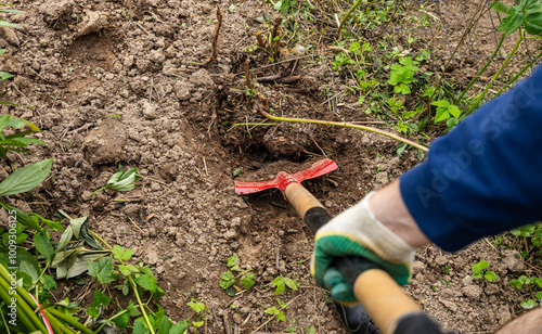 farmer spade soil, digging earth boots, agriculture work cultivation, farm work manual labor garden, vegetable patch digging farmer, outdoor work farming tools, cultivating land gardener, soil photo