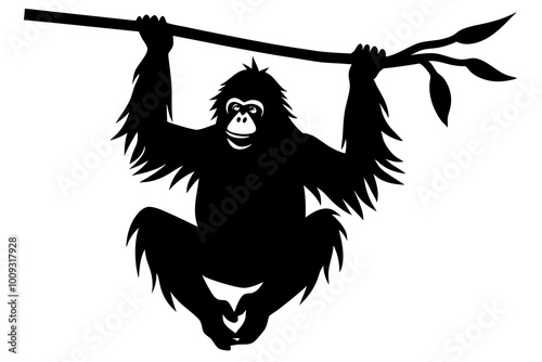 Orangutan Silhouette with Long Arms Sitting or Hanging from a Branch photo