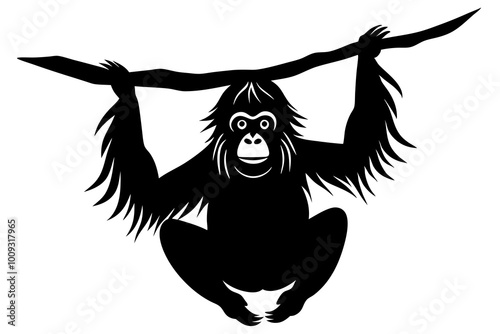 Orangutan Silhouette with Long Arms Sitting or Hanging from a Branch photo