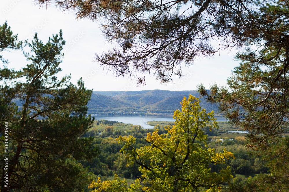 autumn in the forest. Autumn landscape with dense trees and vibrant foliage under a clear blue sky. from a bird's eye view. Scene of unspoiled nature. autumn in the forest. Autumn landscape with dense trees and vibrant foliage under a clear blue sky. from a bird's eye view. Scene of unspoiled nature.