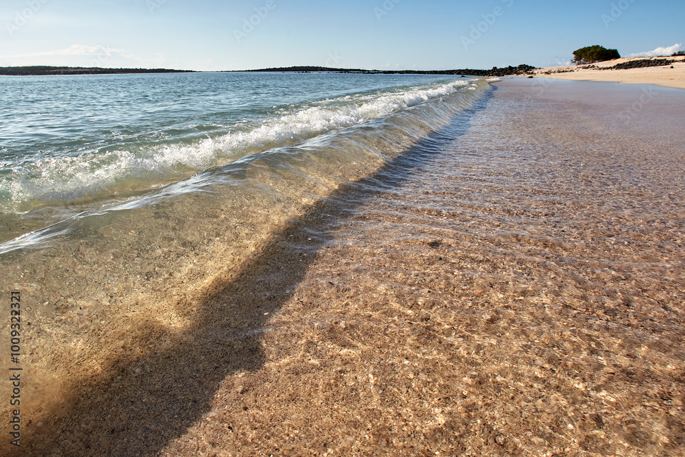 El Manglecito Beach is a hidden gem within the Galapagos Islands, offering a serene and unspoiled retreat for those seeking a quiet connection with nature. 