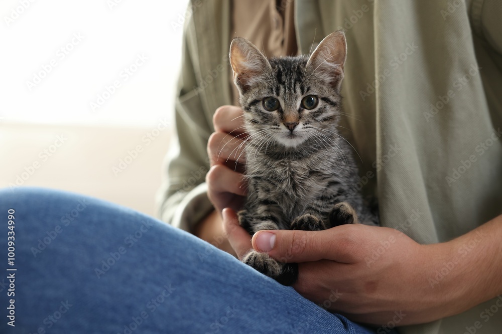 Man with cute kitten at home, closeup Man with cute kitten at home, closeup