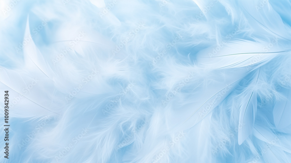 Light blue feathers in a fluffy and soft arrangement. Light blue feathers in a fluffy and soft arrangement.