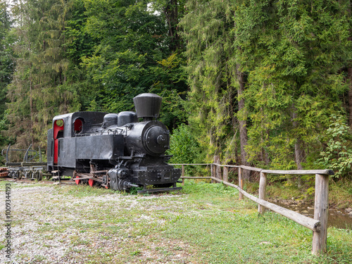 A steam locomotive used to collect wood from the forest. The locomotive ran on the Kysucko Orava headland railway. photo