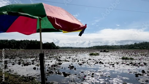 Closeup of an opened colorful umbrella