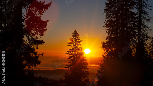 Morning fog and trees silhouettes in sunrise time in Drahobrat, Carpathian mountains, Ukraine photo