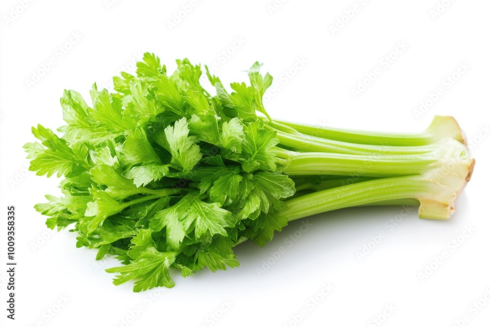 Fresh celery arranged on a white background Fresh celery arranged on a white background