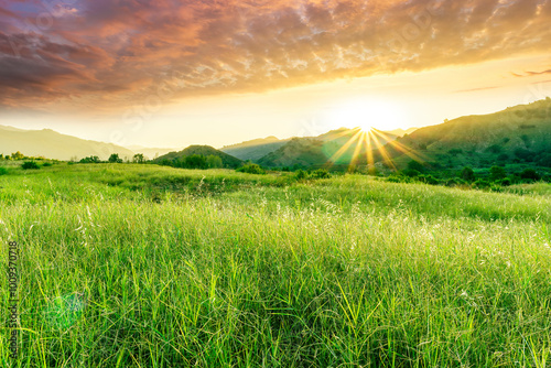 summer of spring landscape of green grass meadow with great beautiful mountains and awersome golden cloudy sunset photo