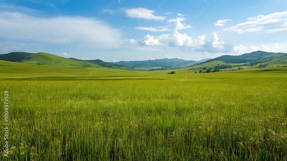 Vast green field under blue sky with rolling hills in the distance. Vast green field under blue sky with rolling hills in the distance.