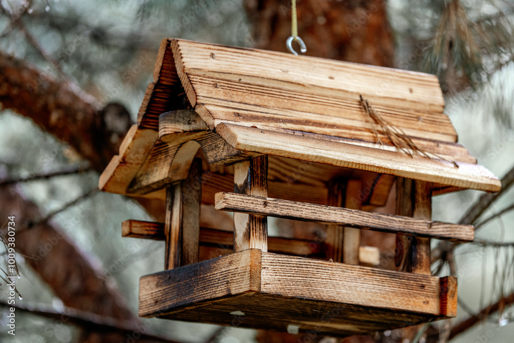 bird feeder for wintering birds hanging on a tree bird feeder for wintering birds hanging on a tree